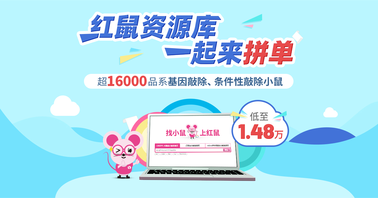 红鼠资源库 一起来拼单