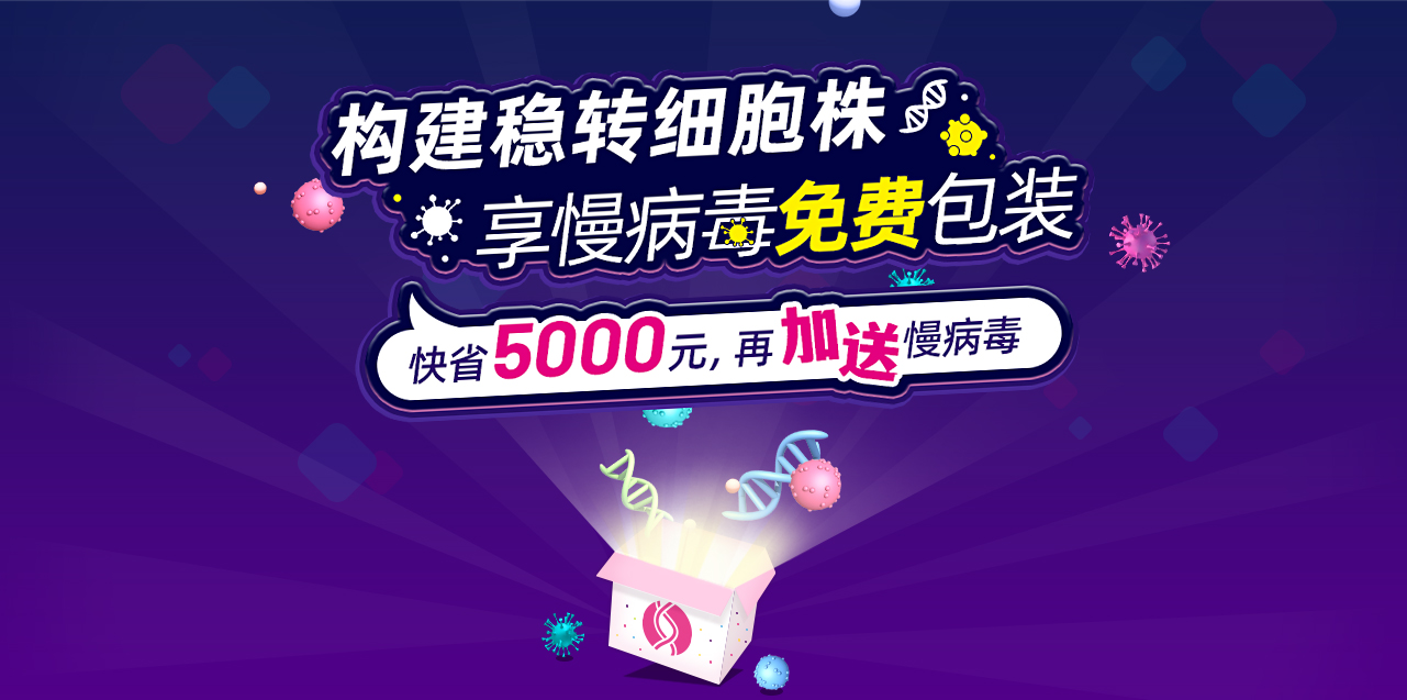 构建稳转细胞株，享慢病毒免费包装 快省5000元，再加送慢病毒