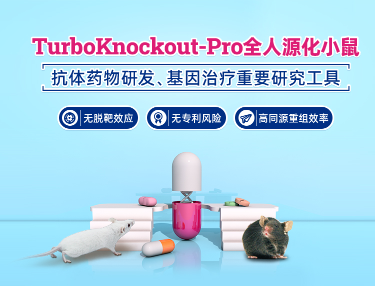 TurboKnockout-Pro全人源化小鼠 抗体药物研发、基因治疗重要研究工具 无专利风险 无脱靶效应 高同源重组效率