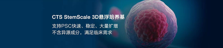 CTS StemScale: 用于支持细胞治疗生产的PSC大规模扩增方案