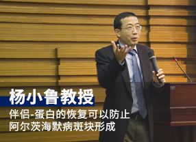杨小鲁教授： “伴侣”蛋白的恢复可以防止阿尔茨海默病斑块形成